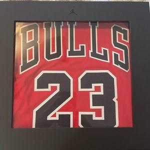 Nike Jordan Box Collection jersey
